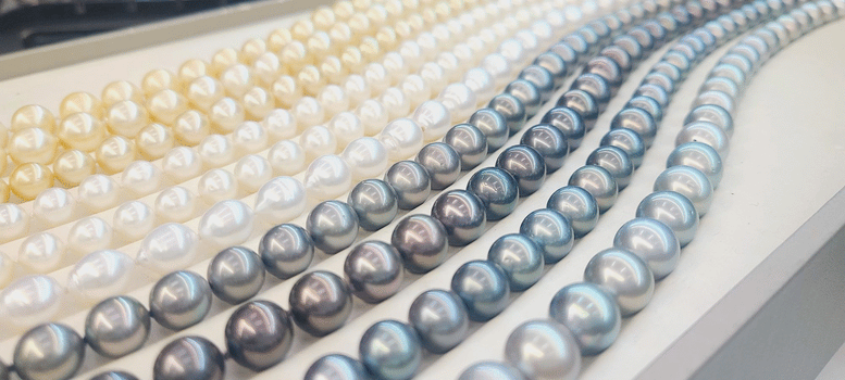 Pearl Jewellery Australia | Pearl Stud Earrings| Tahitian Pearl Stud Earrings | South Sea Pearl Earrings | Pearl Pendant & Necklaces | H&H Jewellery