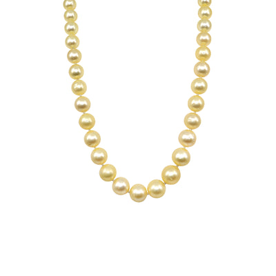 18K Yellow Gold Golden South Sea Pearl Strand - 20358570 - H&H Jewellery Pty Ltd