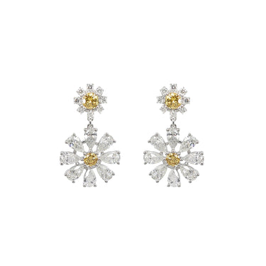18K White Gold Tdw. 5.06ct Diamond Earring - 20735968 - H&H Jewellery Pty Ltd