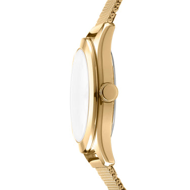 Astoria Logo Champagne Dial Stainless Steel Watch DK1L032M0025