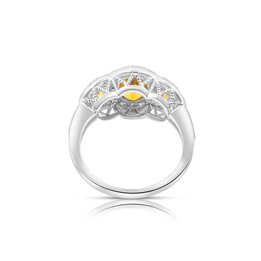 14K White Gold Citrine and Diamond Ring - 20764791