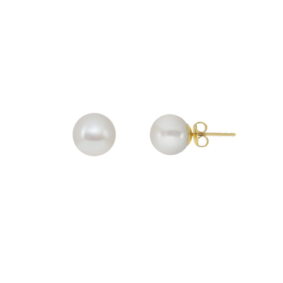 9K Yellow Gold Freshwater Pearl Studs Earrings | Pearl Jewellery Australia | Pearl Jewellery Melbourne | Pearl Stud Earrings Australia | H&H Jewellery