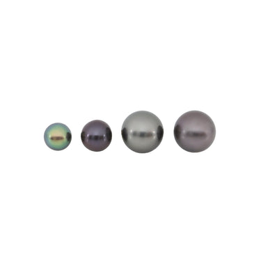 14K Yellow Gold Freshwater Pearl Studs Earrings | Pearl Jewellery Australia | Pearl Jewellery Melbourne | Pearl Stud Earrings Australia | H&H Jewellery