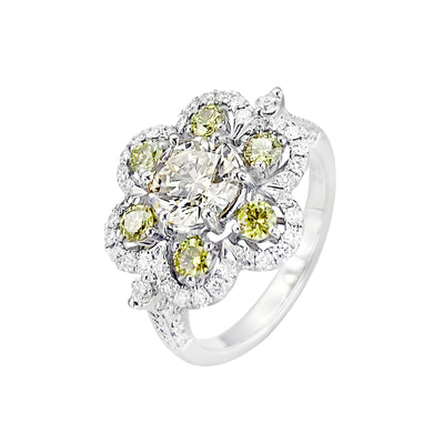 18K White Gold Tdw. 2.50ct Yellow and White Diamond Ring - 20365547 - H&H Jewellery Pty Ltd