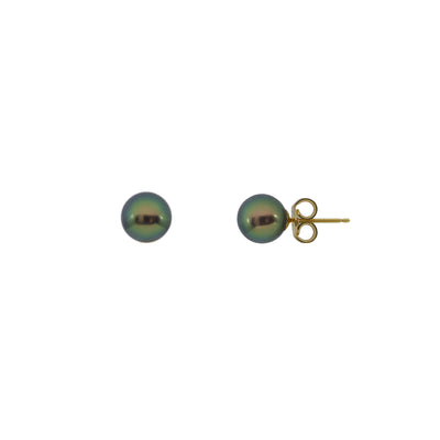 14K Yellow Gold Freshwater Pearl Studs Earring | Pearl Jewellery Australia | Pearl Jewellery Melbourne | Pearl Stud Earrings Australia | H&H Jewellery