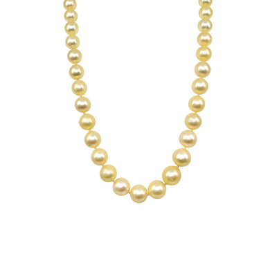 18K Yellow Gold Golden South Sea Pearl Strand | Pearl Jewellery Australia | Pearl Jewellery Melbourne | Pearl Necklace Australia | H&H Jewellery