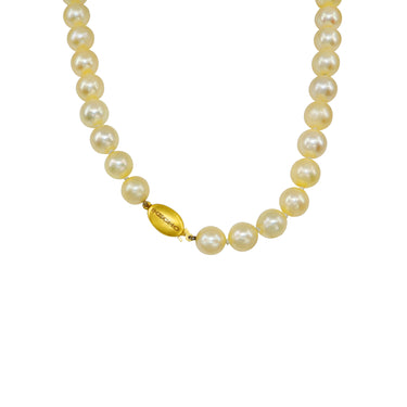 18K Yellow Gold Golden South Sea Pearl Strand | Pearl Jewellery Australia | Pearl Jewellery Melbourne | Pearl Necklace Australia | H&H Jewellery