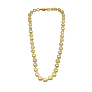 18K Yellow Gold Golden South Sea Pearl Strand | Pearl Jewellery Australia | Pearl Jewellery Melbourne | Pearl Necklace Australia | H&H Jewellery