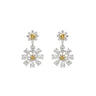 18K White Gold Tdw. 5.06ct Diamond Earring - 20735968 - H&H Jewellery Pty Ltd