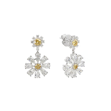 18K White Gold Tdw. 5.06ct Diamond Earring - 20735968 - H&H Jewellery Pty Ltd