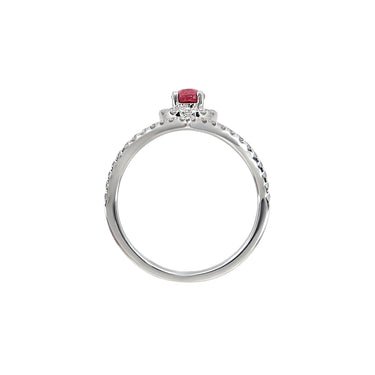 18K White Gold 0.76ct Ruby and Diamond Ring -20736002