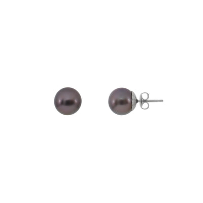 18K White Gold Tahitian Pearl Studs Earring - 20686314 - H&H Jewellery Pty Ltd